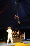 Poulpes Circus 7 * 5184 x 3456 * (6.21MB)